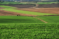 ������ԭ���