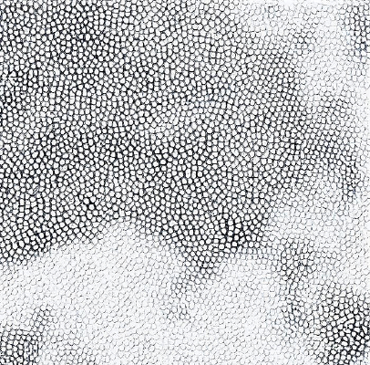 �ڰ���֦���ʸе���