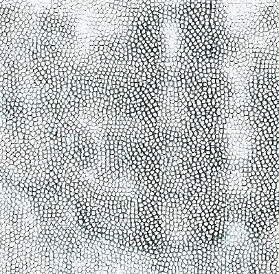 �ڰ�Ƥ���ʸ�����