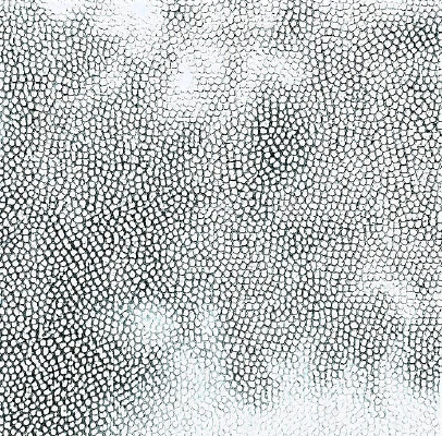 �ڰ��ʸ�Ƥ�����