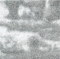 Ƥ����������ͼ��