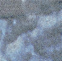 ʱ��Ƥ�ﻨ��ͼ��