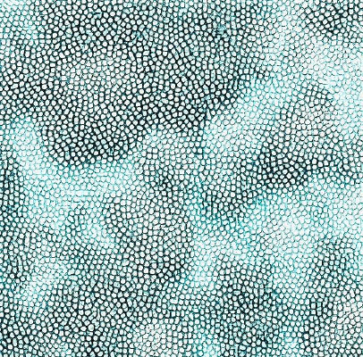 �ʸ�Ƥ�Ʊ���