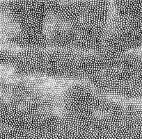 ʱ���ʸ�Ƥ����ͼ