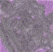 ʱʸƤ