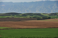 ��ɽ��ԭһ��