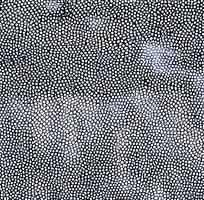 ��Ƥ�����ʸ�����