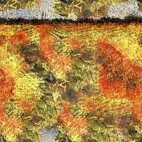 ��ɫ��������