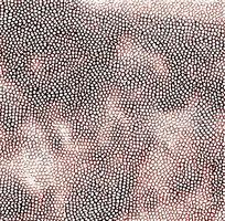 ����Ƥ�ϼ�������