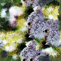 ���ܳ����ͻ�