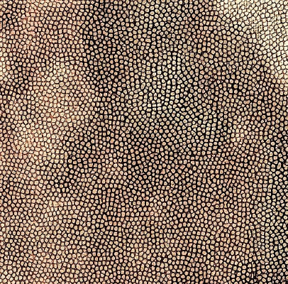 ����ɫ����