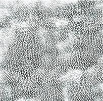 Ƥ�ﲼ��Ƥ����ͼ