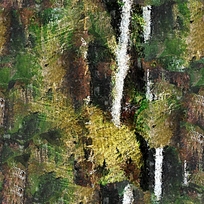 ���ֳ����ͻ�����