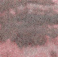 ��ɫƤ���ʸ���������