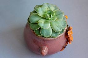 �����ֵ���ɫ����