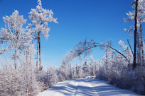 ѩ������ɽ·