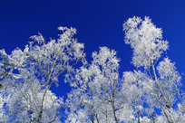 ѩ��������ڡ