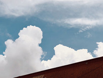 �ƺ�����