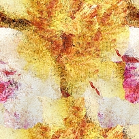 ��ɫ�ͻ�����