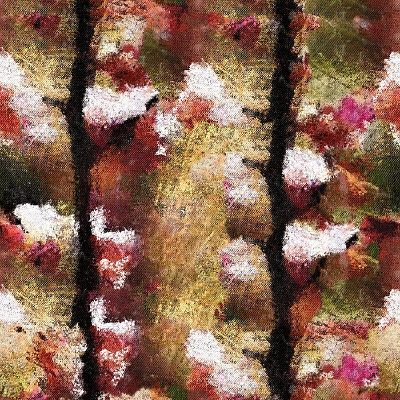 �����ͻ�����