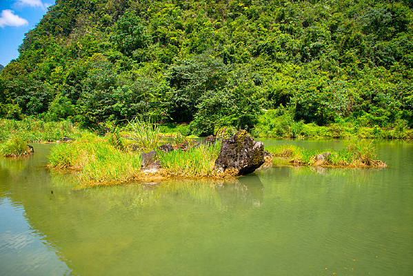 ����Ŭ�ڼ���ʪ��