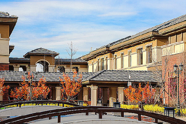 ����ʽ�����Ⱥ