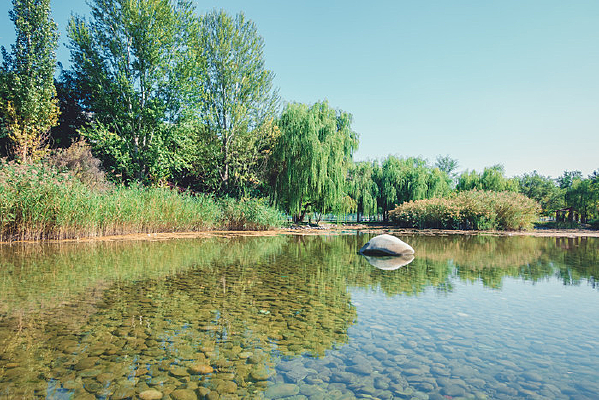 ��԰���ۺ�