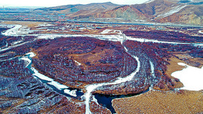 ����ֲ�����