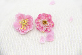 ÷������