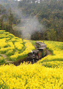 �Ͳ˻���������С��