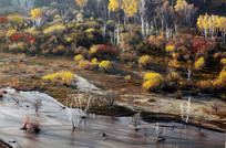 ������ɫ