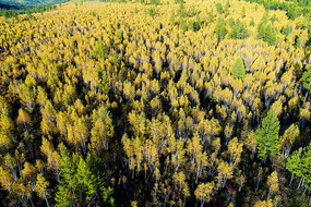 ���ְ���