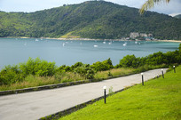 ���ɵ���Ӱͼ