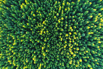 ���Ĵ��˰����ֺ����� 