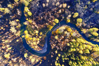 ���ĺ������ 