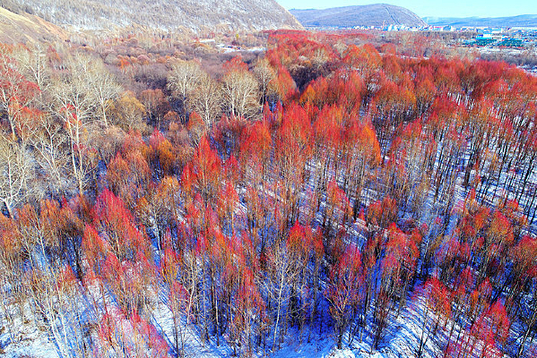 �������