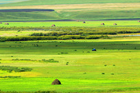 ��ԭ��������