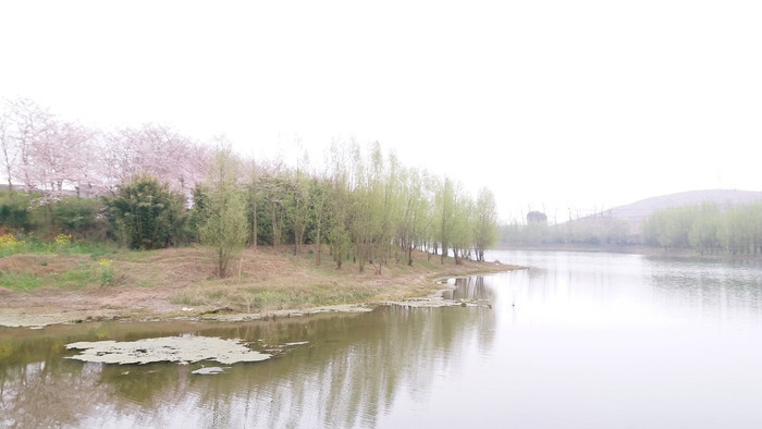 ������Ϸ��