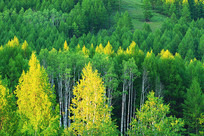 ���˰���ï��ɽ�־���