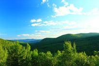 ���˰���ɭ�־���