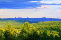 ï��ɽ�ַ��