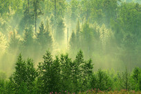 ï�����������������