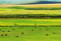 �����Ĳ�ԭ