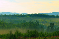 ������������ 