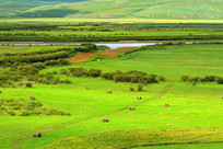 ���ɹŲ�ԭ���