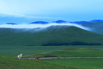 ɽ�������������� 