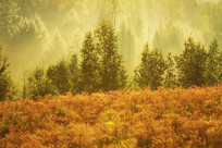 ɽ�������������