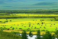 ��̬��õĲ�ԭ���� 