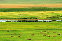 ԭҰ��������