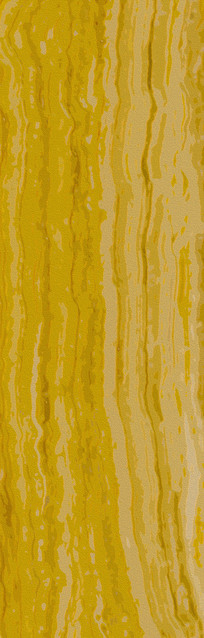 ��ֽ����